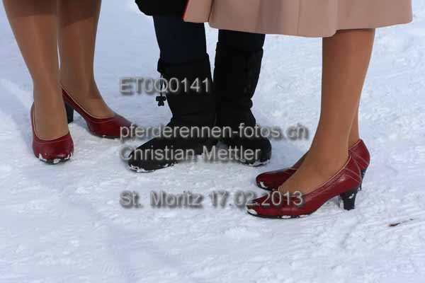 ET0Q0141 prot